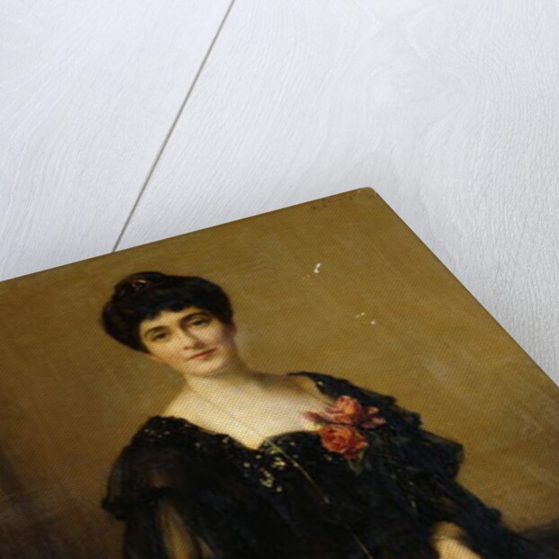 Portrait of Mrs Frederick Ashton Johnson, 1903 by Samuel Henry William Llewelyn