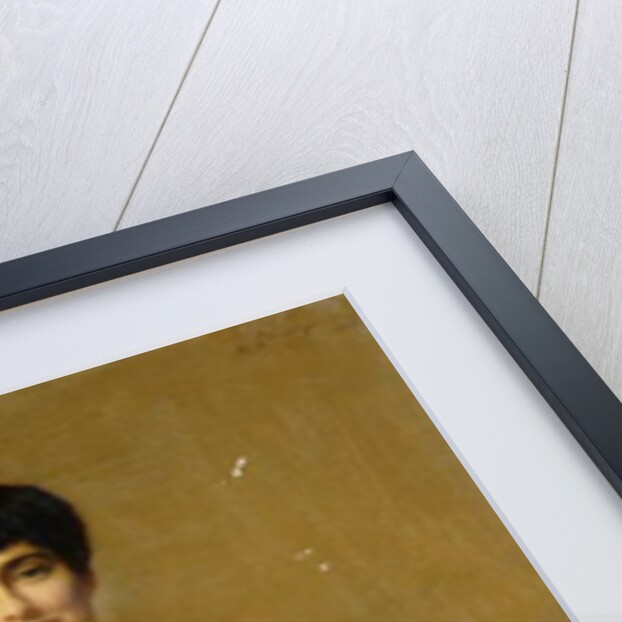 Portrait of Mrs Frederick Ashton Johnson, 1903 by Samuel Henry William Llewelyn