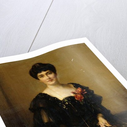 Portrait of Mrs Frederick Ashton Johnson, 1903 by Samuel Henry William Llewelyn