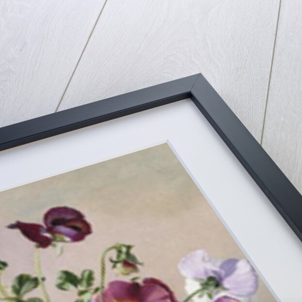 A Still Life with Pansies by Albert Williams