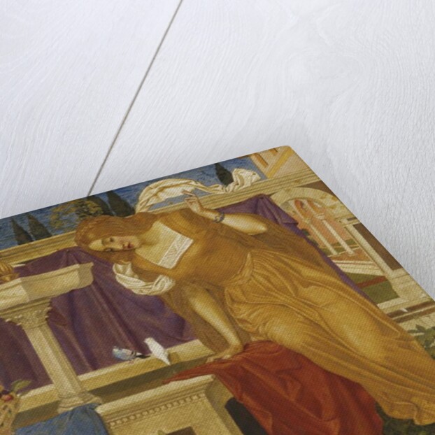 Beauty Seeing the Image of her Home in the Fountain, 1897-8 by Joseph Edward Southall