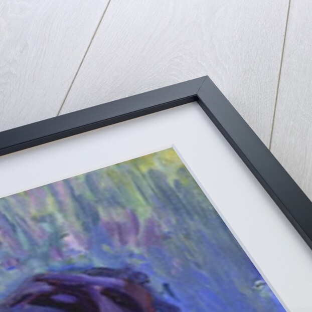 Study for Sussex Farm Horse, c. 1904-6 by Robert Polhill Bevan