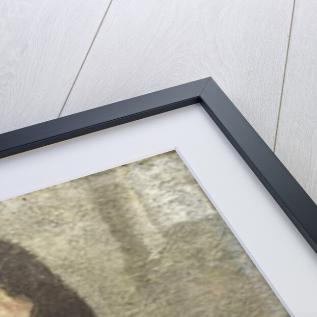 Girl with Cat in her Lap by Gwen John