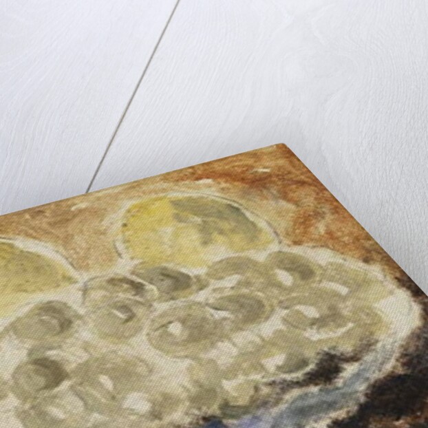 Shell, Dish and Fruit, c.1922 by Christopher Wood