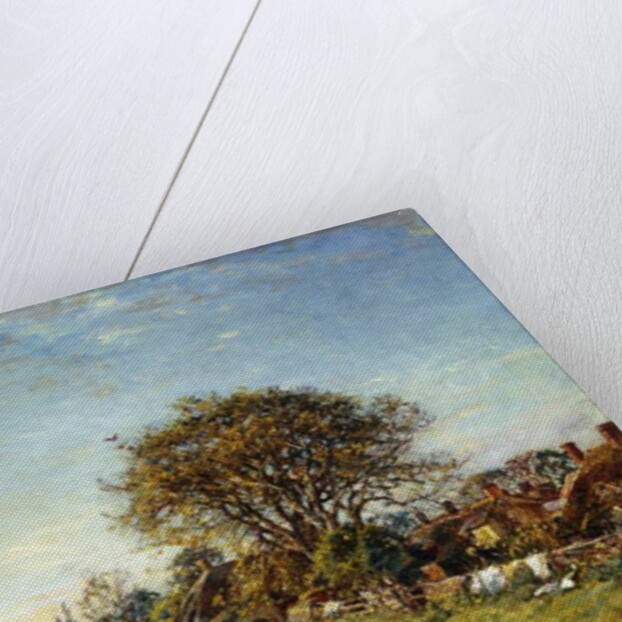 A Summers Day by Mark Fisher