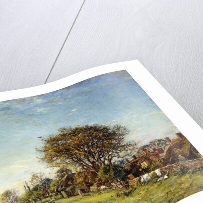 A Summers Day by Mark Fisher