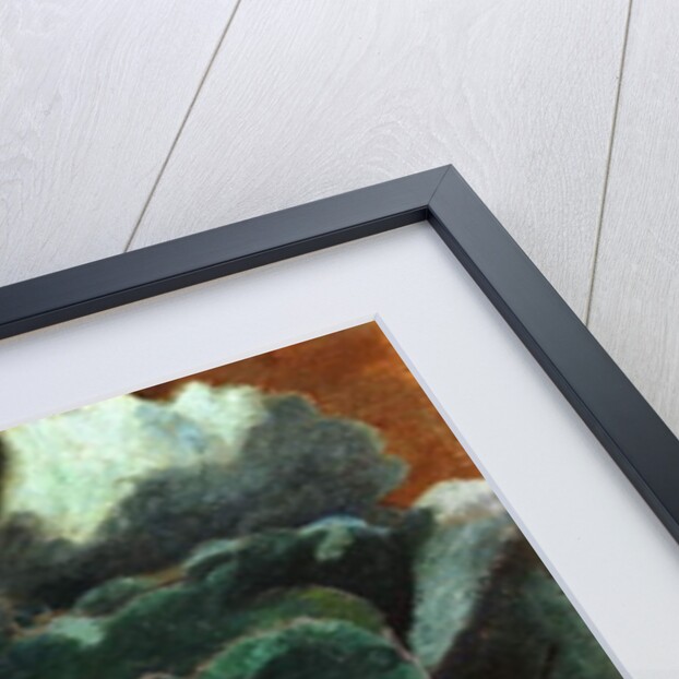 Cabbage, 1956 by Cedric Morris