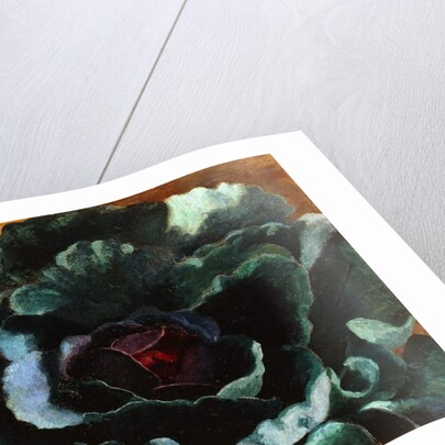 Cabbage, 1956 by Cedric Morris