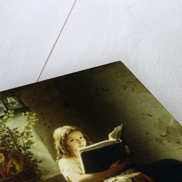 A Girl Reading; Das Lesende Madchen, 1871 by Johann Georg Meyer