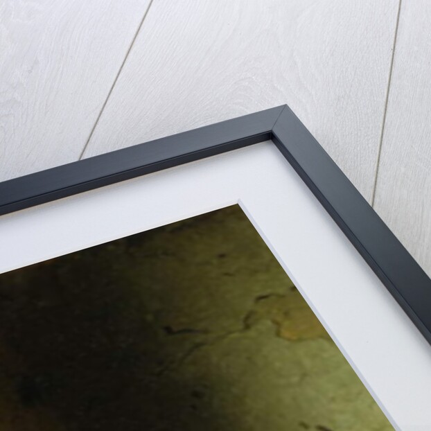 A Girl Reading; Das Lesende Madchen, 1871 by Johann Georg Meyer