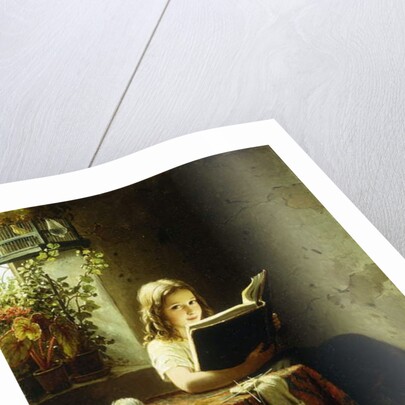 A Girl Reading; Das Lesende Madchen, 1871 by Johann Georg Meyer