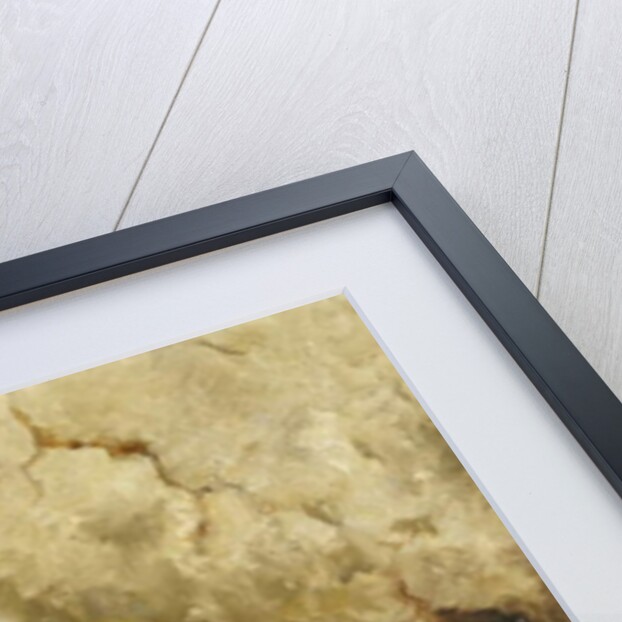 The Uninvited Lunch Guest, 1896 by Robert Morley