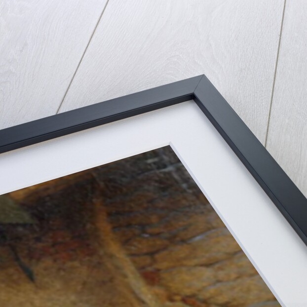 Removing the Thorn, by Henry Lejeune