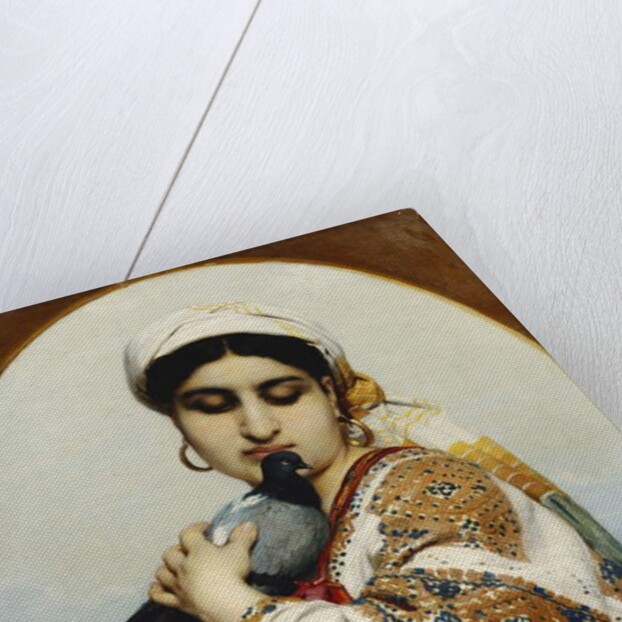 The Pigeon by Willem Johannes Martens