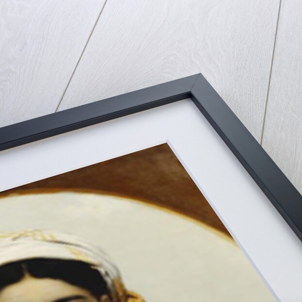 The Pigeon by Willem Johannes Martens