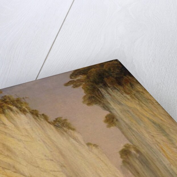 The Marble Rocks - Nerbudda Jubbulpore, 1882 by Edward Lear