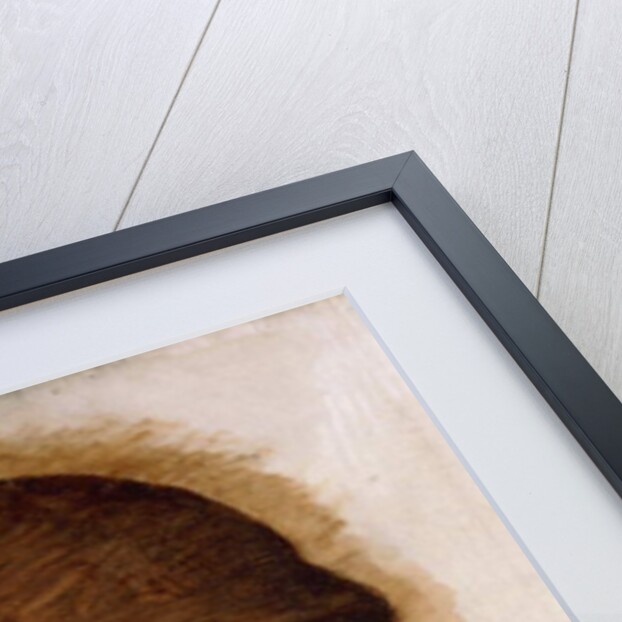 Study of a Lady's Head, by Edward Coley Burne-Jones