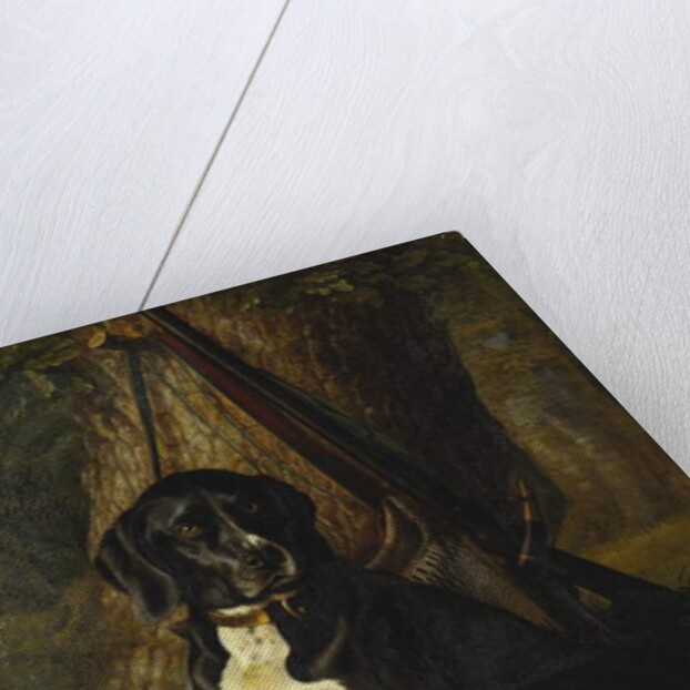 A Gun Dog with a Woodcock, 1842 by William Hammer