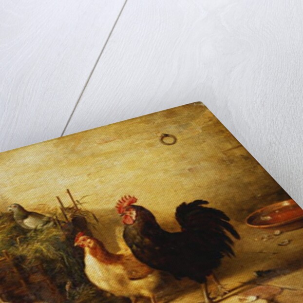 Poultry and Pigeons in an Interior, 1881 by Walter Hunt