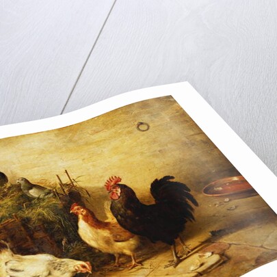 Poultry and Pigeons in an Interior, 1881 by Walter Hunt