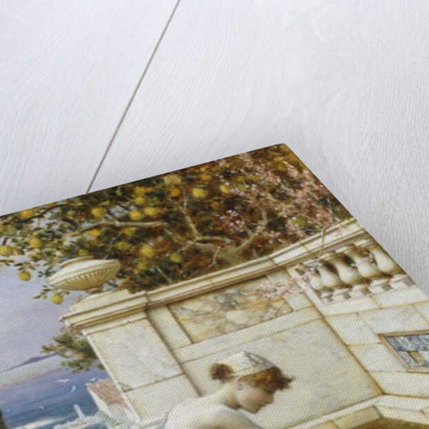 The Goldfish Pond by William Stephen Coleman