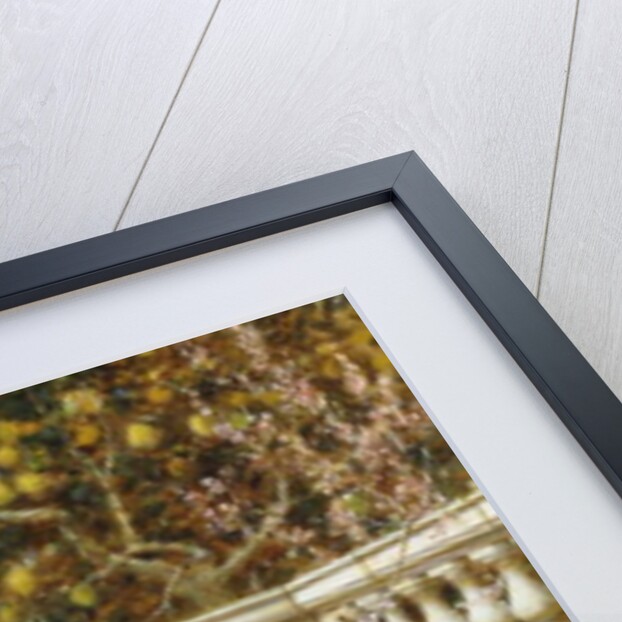 The Goldfish Pond by William Stephen Coleman