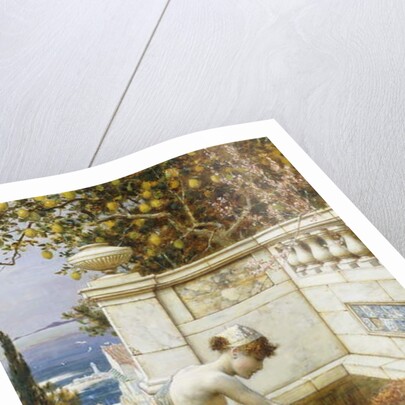 The Goldfish Pond by William Stephen Coleman