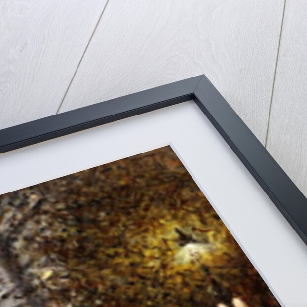 A Street Scene, Paris by Gaspar Miro Lleo