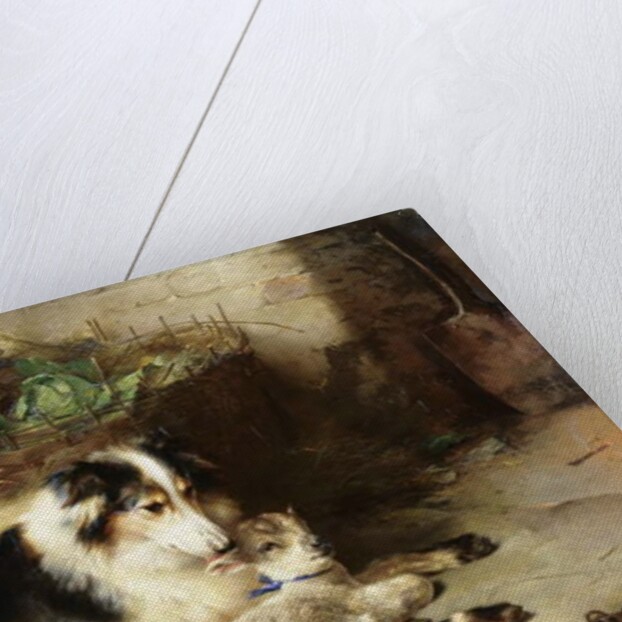 Motherless: The Shepherd's Pet, 1897 by Walter Hunt