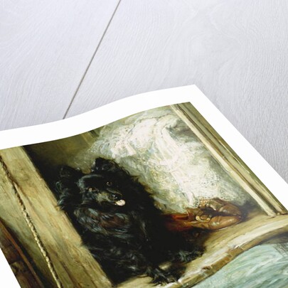 Left in Charge - A Black Pomerain on the Steps of a Bathing Machine by Philip Eustace Stretton