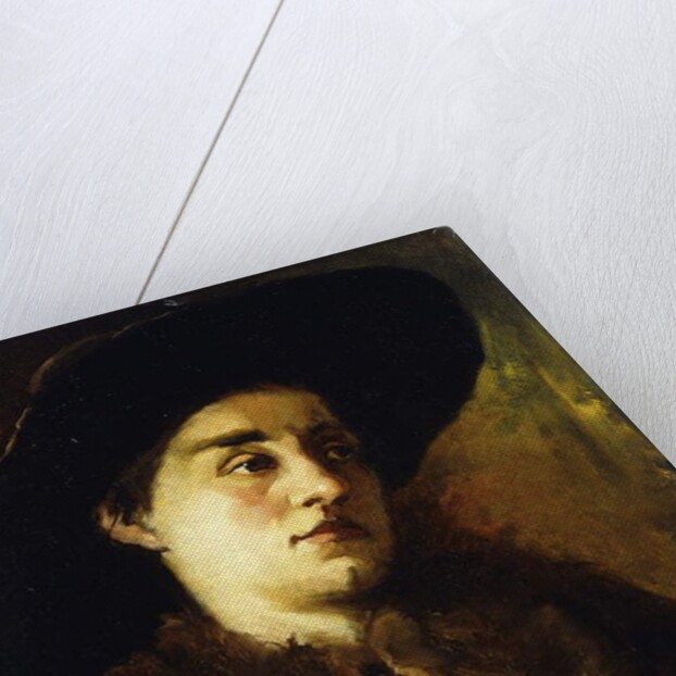 Portrait of a Lady, Wearing a Fur Coat and Black Hat by Heinrich Wilhelm Truebner