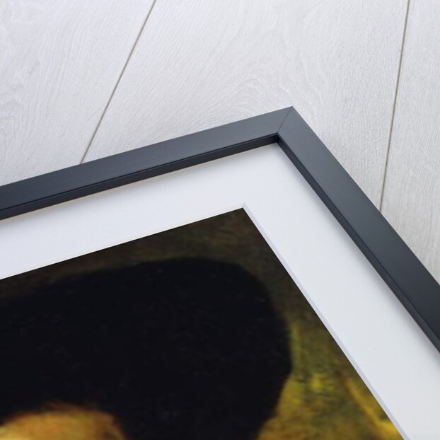 Portrait of a Lady, Wearing a Fur Coat and Black Hat by Heinrich Wilhelm Truebner