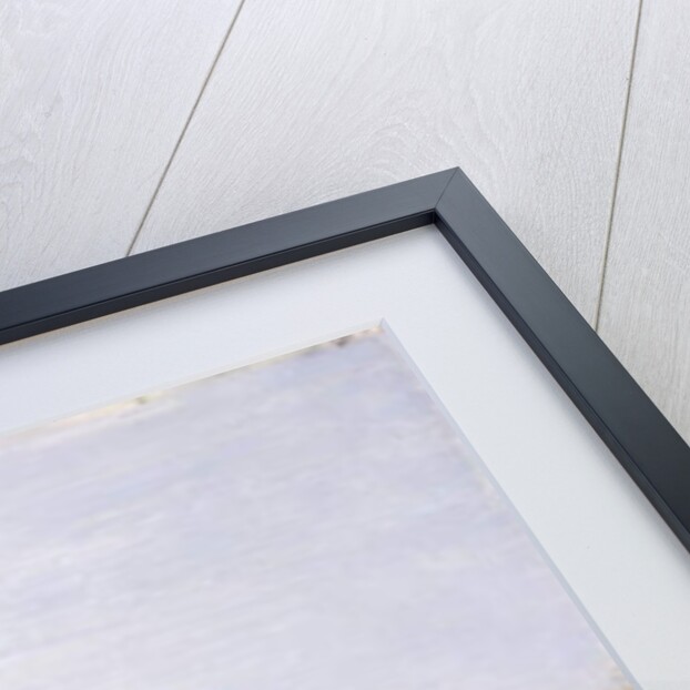 Lion Watching for Prey by Wilhelm Kuhnert