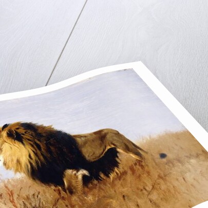 Lion Watching for Prey by Wilhelm Kuhnert