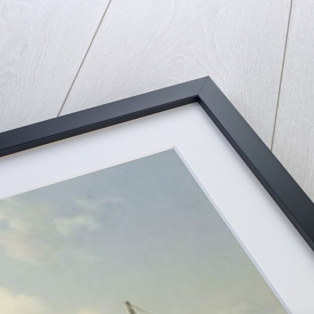 Boats on the Bosphorous, off Constantinople, 1846 by Auguste Etienne Francois Mayer