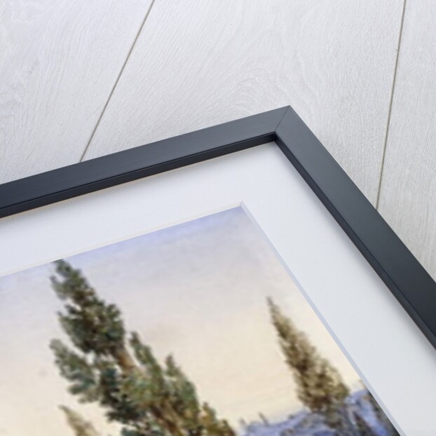 Constantinople from Eyub by Amadeo Preziosi