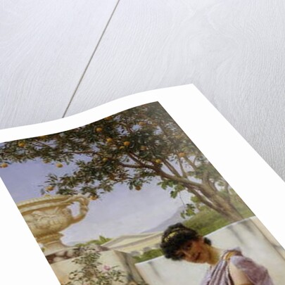 The Flowers of Venus, 1890 by John William Godward