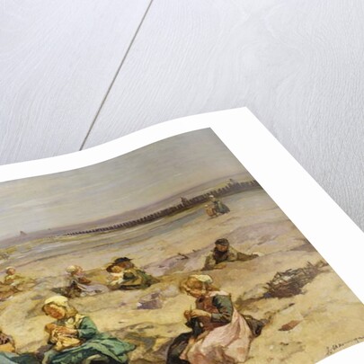 A Day at the Seaside by Johannes Akkeringa