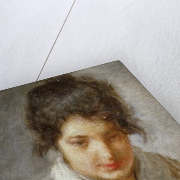 Portrait of a Lady by Mose Bianchi