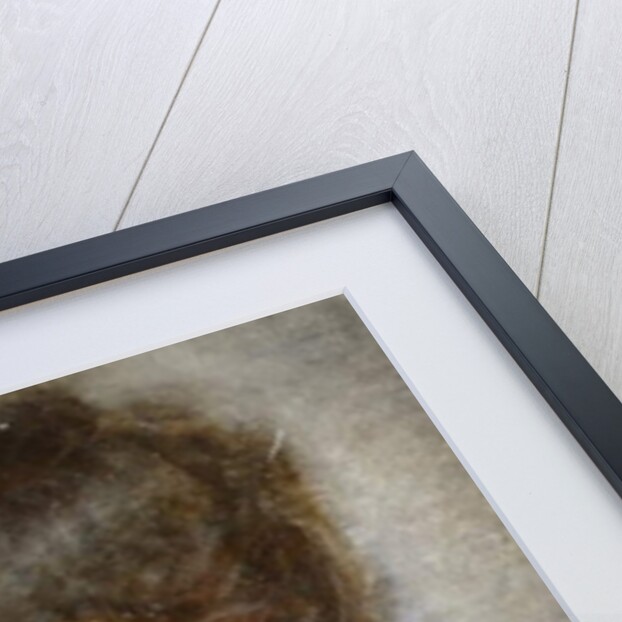 Portrait of a Lady by Mose Bianchi