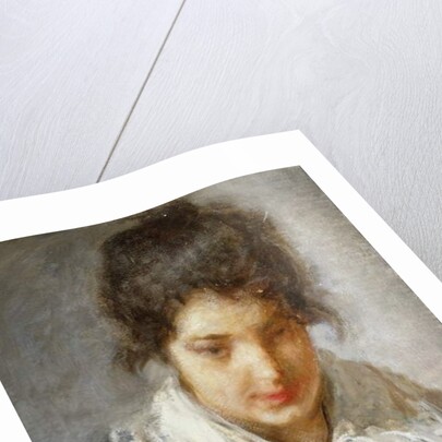 Portrait of a Lady by Mose Bianchi