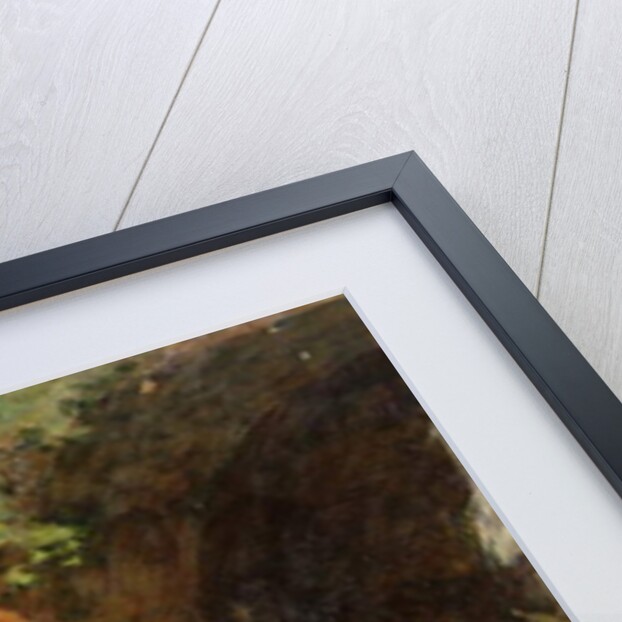 Feeding the Chickens by Luigi Rossi