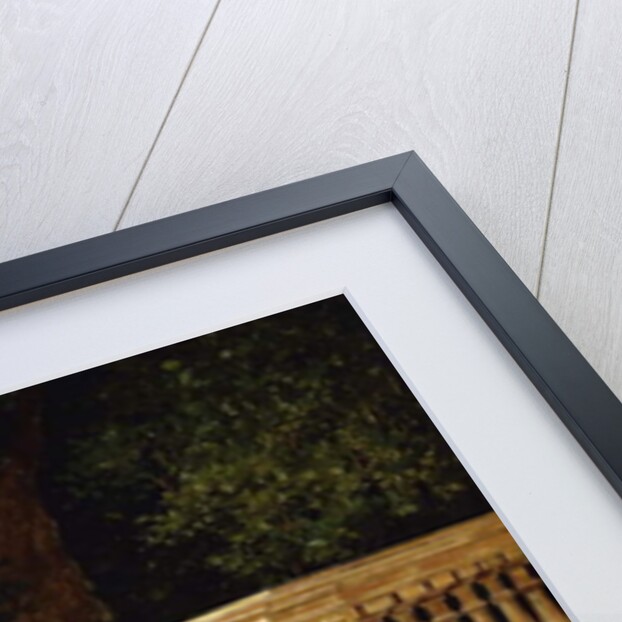 The Serenade by Filippo Indoni