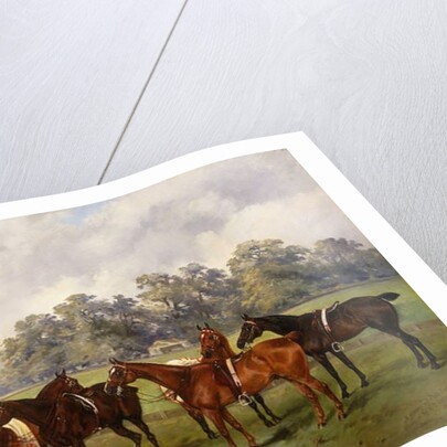 A Group of Polo Ponies, Dainty, Gold, Redskin, Miss Edge, and Piper, the Property of Sir Humphrey de Trafford, Bart, 1895 by Henry Frederick Lucas-Lucas