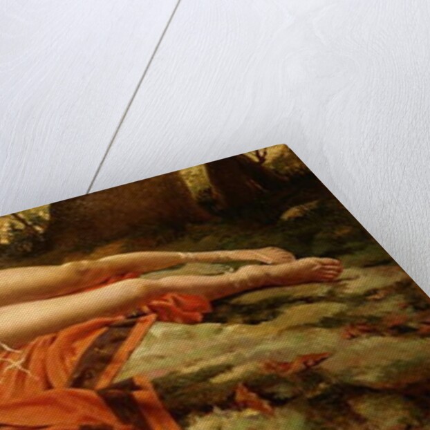 Narcissus by Conda de Satriano