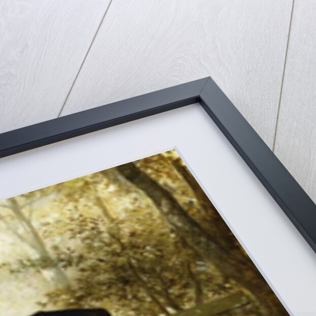 Small Talk; Ein Plauderstundchen, 1887 by Karl the Elder Schweninger