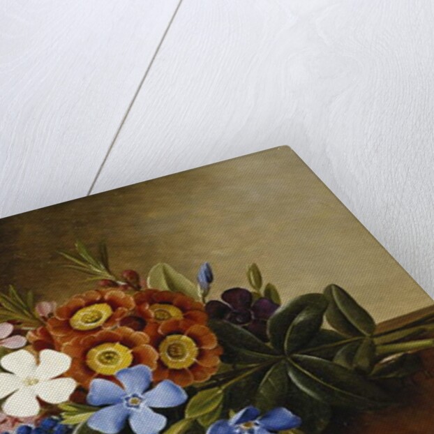 Periwinkle, Auricula and Grape Hyacinths on a Marble Ledge, 1882 by Johan Laurents Jensen