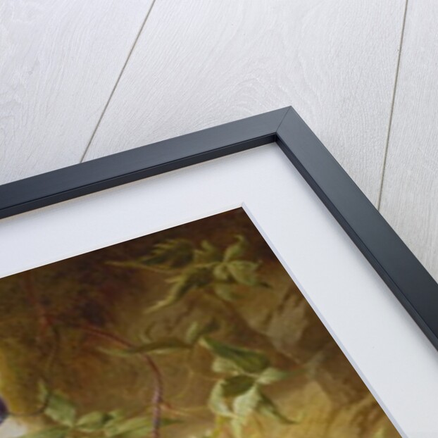 Alpenblum by Josef Schuster