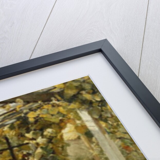 In the Pergola, 1894 by Oscar Bluhm