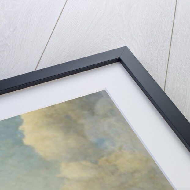 A View of Constantinople by Michael Zeno Diemer